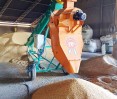 O classificador de grãos móvel OBC-50 limpa milho e outros grãos