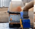 Loading grain into a sea container at a grain storage, photo