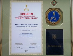 Diploma, badge and medal of the winner of the national award Grand Prix "Highest standard", photo